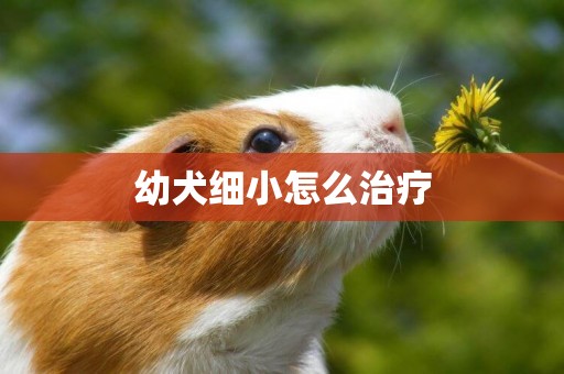 幼犬細小怎么治療