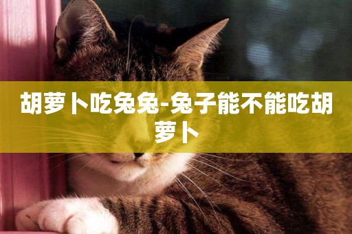 胡蘿卜吃兔兔-兔子能不能吃胡蘿卜