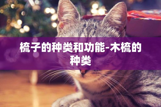 梳子的種類和功能-木梳的種類