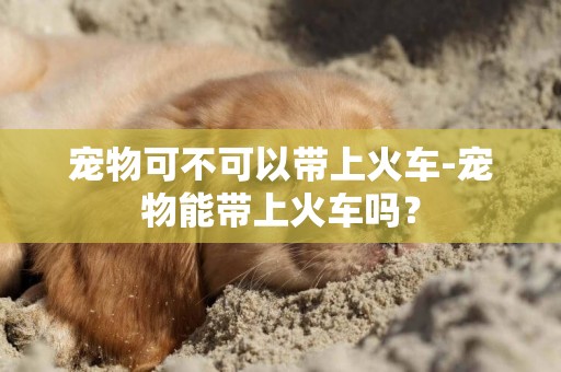 寵物可不可以帶上火車-寵物能帶上火車嗎？