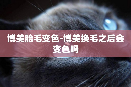 博美胎毛變色-博美換毛之后會變色嗎