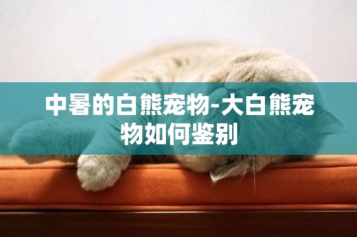 中暑的白熊寵物-大白熊寵物如何鑒別