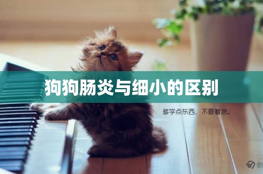 狗狗腸炎與細小的區別