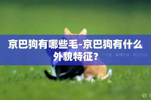 京巴狗有哪些毛-京巴狗有什么外貌特征？
