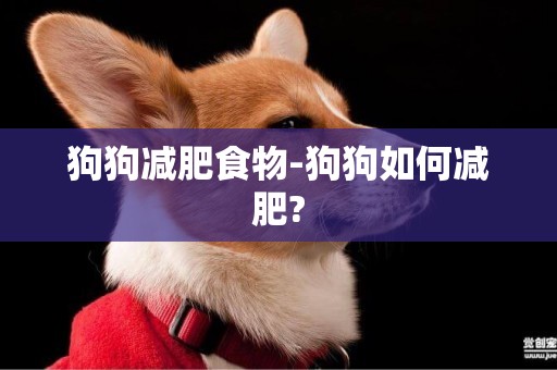 狗狗減肥食物-狗狗如何減肥?