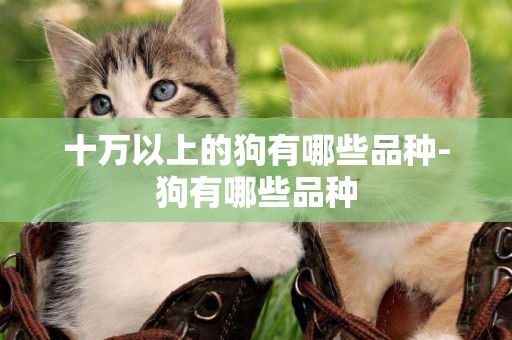 十萬以上的狗有哪些品種-狗有哪些品種