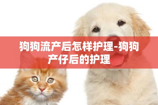 狗狗流產后怎樣護理-狗狗產仔后的護理