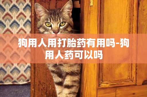 狗用人用打胎藥有用嗎-狗用人藥可以嗎