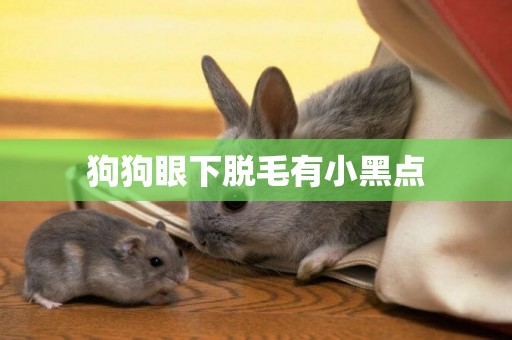 狗狗眼下脫毛有小黑點