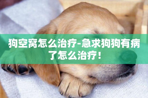 狗空窩怎么治療-急求狗狗有病了怎么治療！
