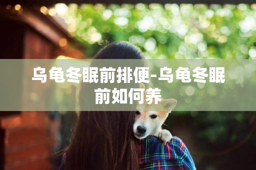 烏龜冬眠前排便-烏龜冬眠前如何養