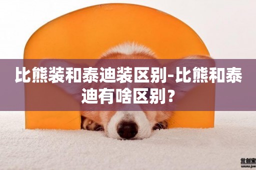 比熊裝和泰迪裝區別-比熊和泰迪有啥區別？