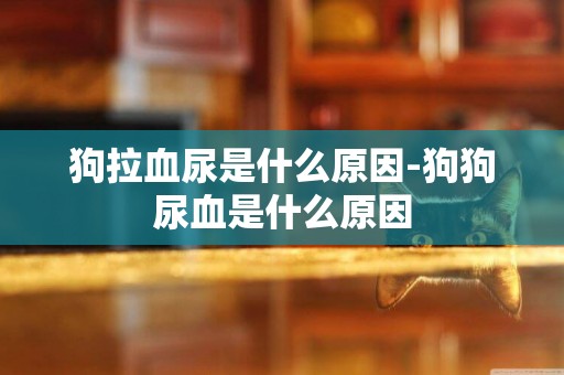 狗拉血尿是什么原因-狗狗尿血是什么原因