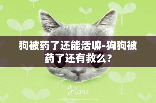 狗被藥了還能活嘛-狗狗被藥了還有救么？