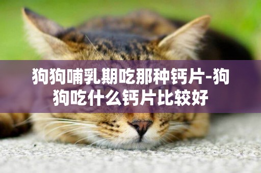 狗狗哺乳期吃那種鈣片-狗狗吃什么鈣片比較好