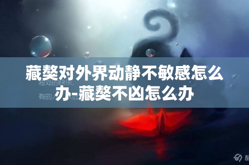 藏獒對外界動靜不敏感怎么辦-藏獒不兇怎么辦