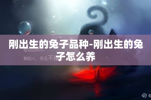 剛出生的兔子品種-剛出生的兔子怎么養