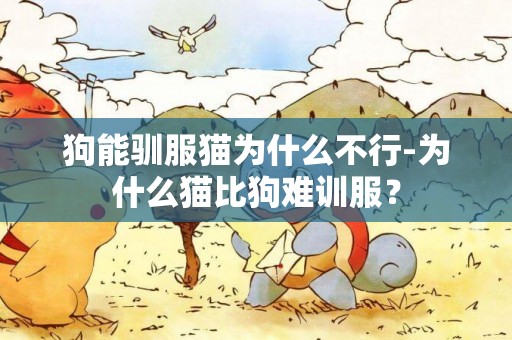 狗能馴服貓為什么不行-為什么貓比狗難訓服？