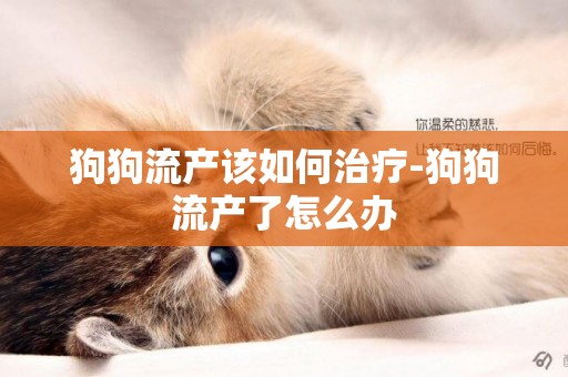 狗狗流產該如何治療-狗狗流產了怎么辦