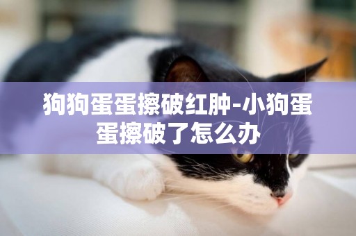 狗狗蛋蛋擦破紅腫-小狗蛋蛋擦破了怎么辦