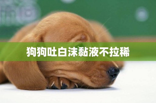 狗狗吐白沫黏液不拉稀