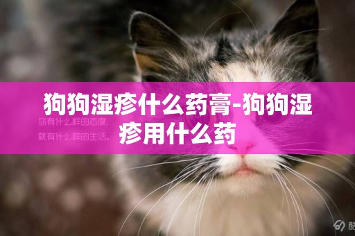 狗狗濕疹什么藥膏-狗狗濕疹用什么藥