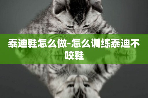 泰迪鞋怎么做-怎么訓練泰迪不咬鞋