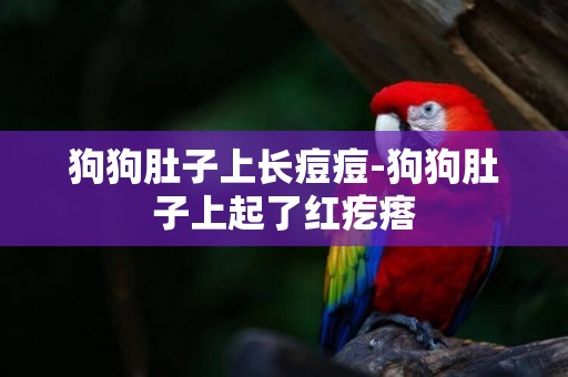 狗狗肚子上長痘痘-狗狗肚子上起了紅疙瘩