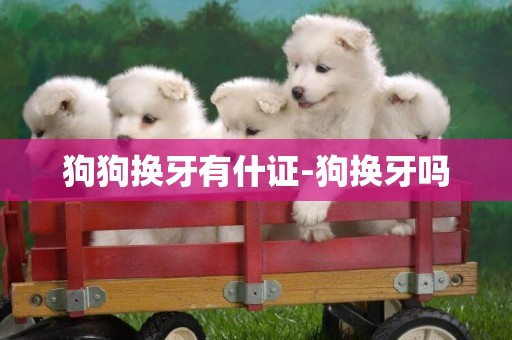 狗狗換牙有什證-狗換牙嗎
