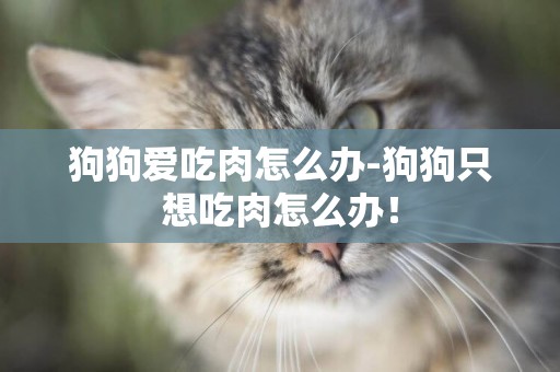 狗狗愛吃肉怎么辦-狗狗只想吃肉怎么辦！