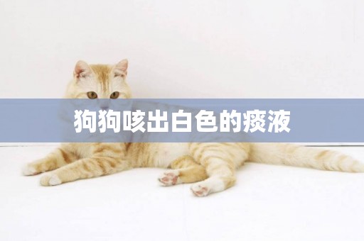狗狗咳出白色的痰液