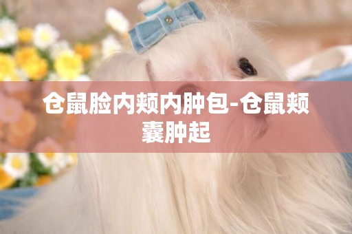 倉鼠臉內頰內腫包-倉鼠頰囊腫起