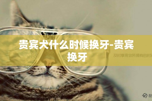貴賓犬什么時候換牙-貴賓 換牙