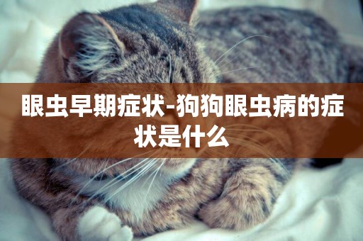 眼蟲早期癥狀-狗狗眼蟲病的癥狀是什么