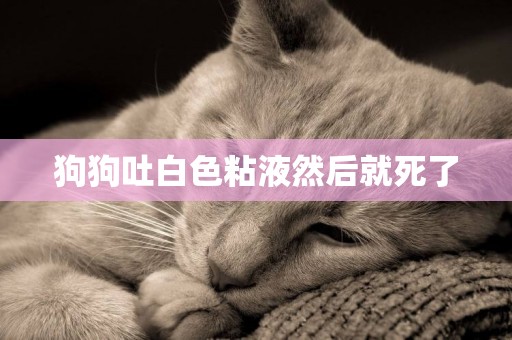 狗狗吐白色粘液然后就死了