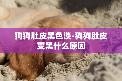 狗狗肚皮黑色淡-狗狗肚皮變黑什么原因