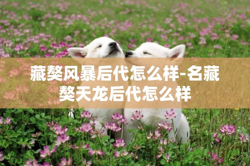 藏獒風暴后代怎么樣-名藏獒天龍后代怎么樣
