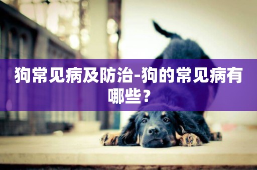 狗常見病及防治-狗的常見病有哪些？