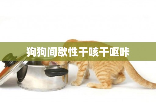 狗狗間歇性干咳干嘔咔
