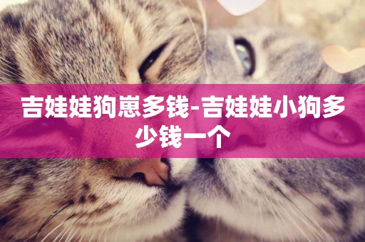 吉娃娃狗崽多錢-吉娃娃小狗多少錢一個