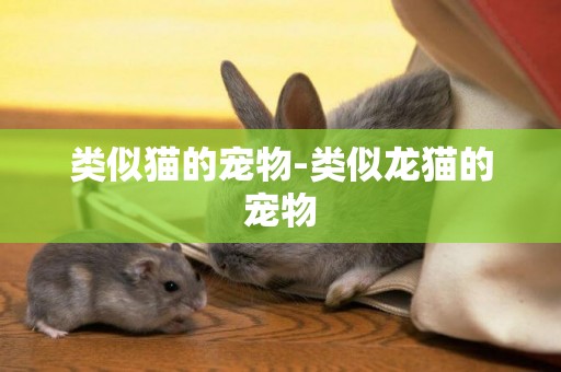 類似貓的寵物-類似龍貓的寵物