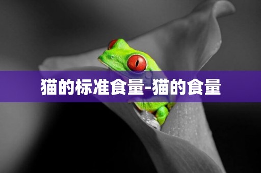貓的標準食量-貓的食量