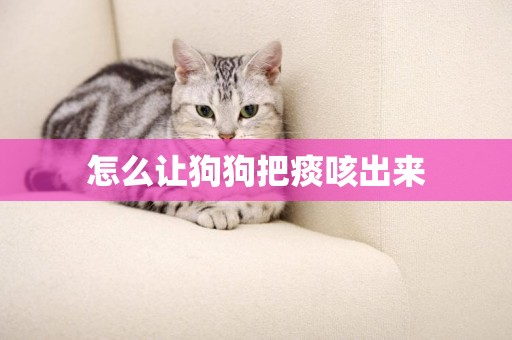 怎么讓狗狗把痰咳出來