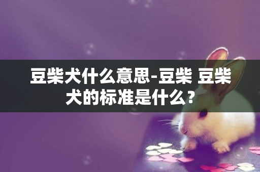 豆柴犬什么意思-豆柴 豆柴犬的標準是什么？
