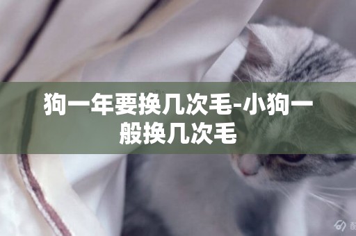 狗一年要換幾次毛-小狗一般換幾次毛