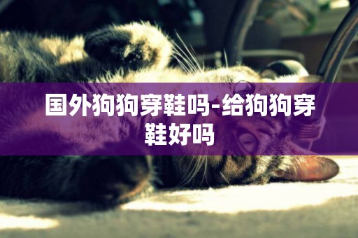 國外狗狗穿鞋嗎-給狗狗穿鞋好嗎
