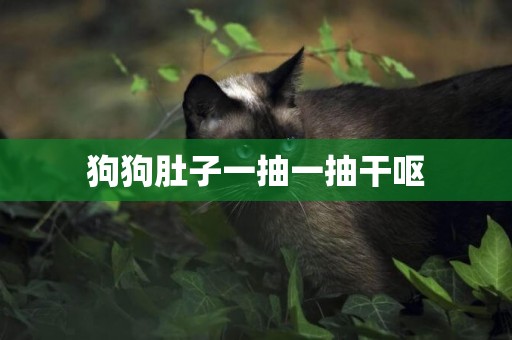 狗狗肚子一抽一抽干嘔