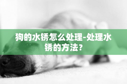 狗的水銹怎么處理-處理水銹的方法？