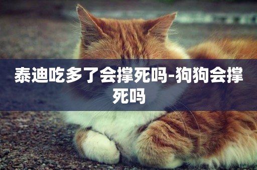 泰迪吃多了會撐死嗎-狗狗會撐死嗎