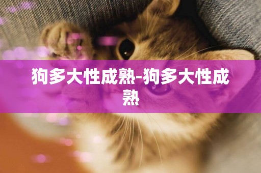狗多大性成熟-狗多大性成熟